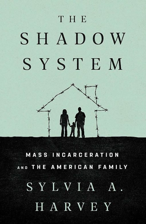 The Shadow System: Mass Incarceration and the American Family Book Cover