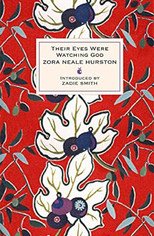 Their Eyes Were Watching God Book Cover